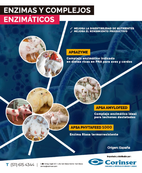 Fitasa y Complejos Multienzimáticos